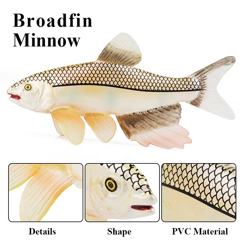 Oenux Sea Life Animals Coral Octopus Nautiloidea Crab Starfish Ocean Model Action Figures Educational Collection Toy Kid Gift
