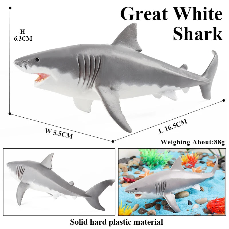 Oenux Sea Life Animals Coral Octopus Nautiloidea Crab Starfish Ocean Model Action Figures Educational Collection Toy Kid Gift