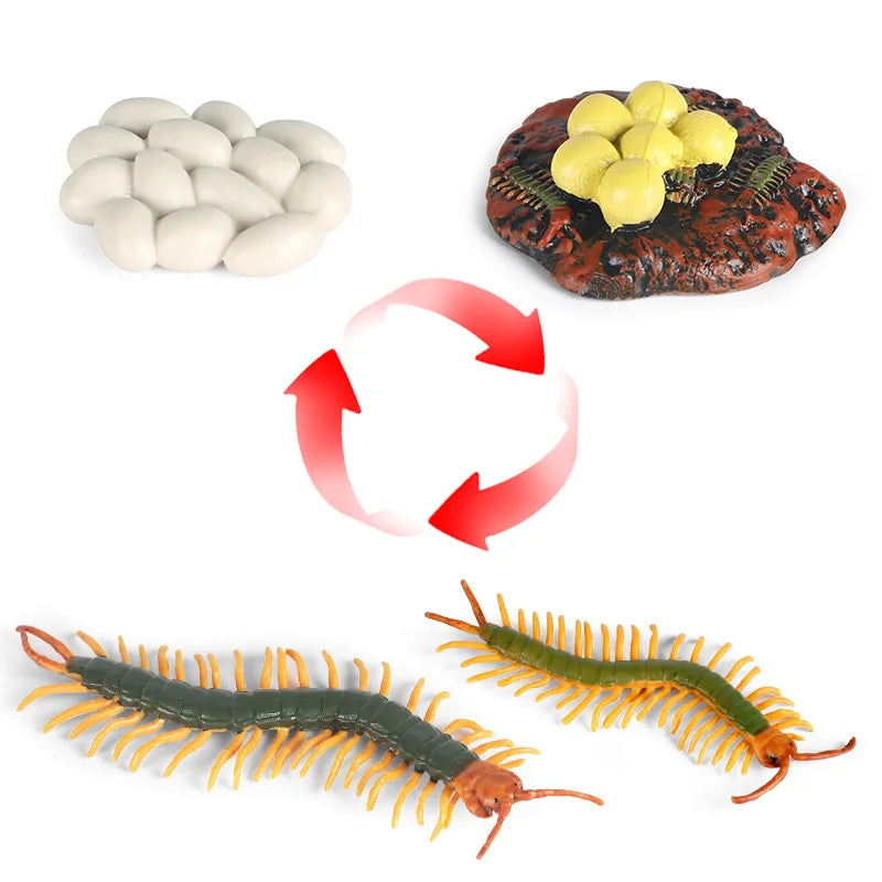 Oenux Simulation Luna Moth Salmon Butterfly Ants Life Growth Cycle Animals Model Action Figures Educational Miniature Kids Toy