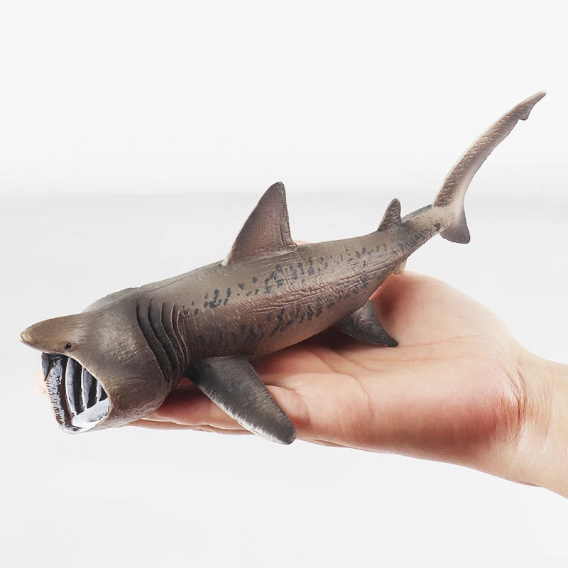 Oenux Ocean Animals Action Figures Sealife Shark Whare Megalodon Model Figurines PVC Home Decoration Kid Cognitive Education Toy
