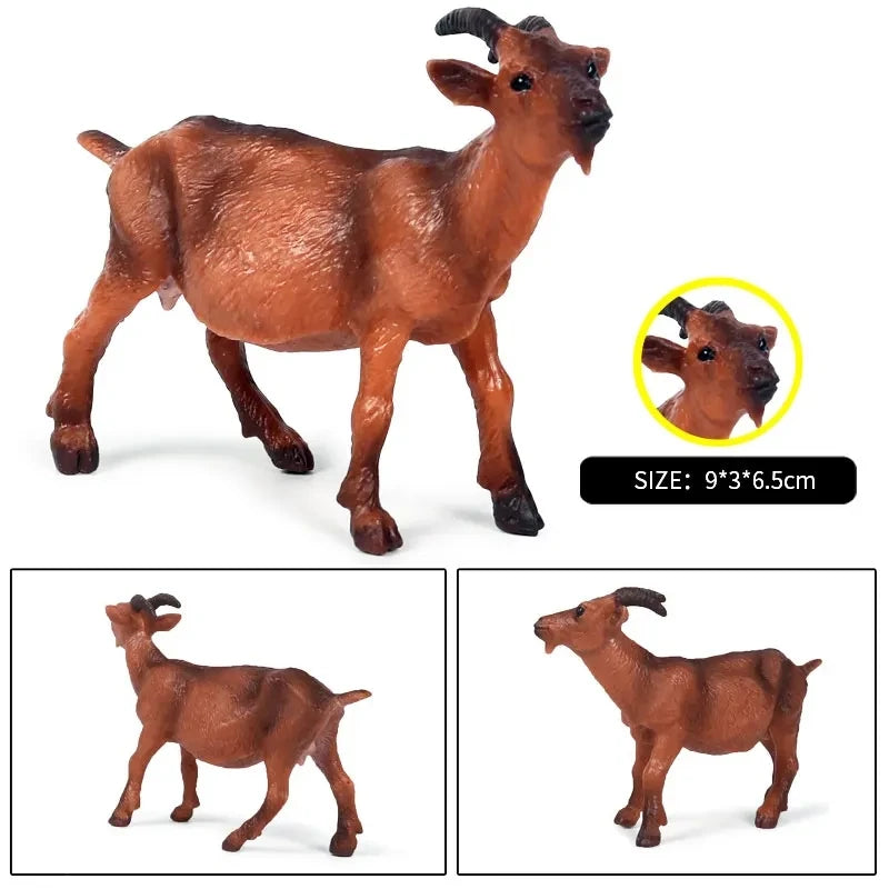 Oenux Classic Farm Animal Simulation Sheep Goat Argali Antelope Model Action Figure Poultry Figurines Cute Toy For Kid Gift