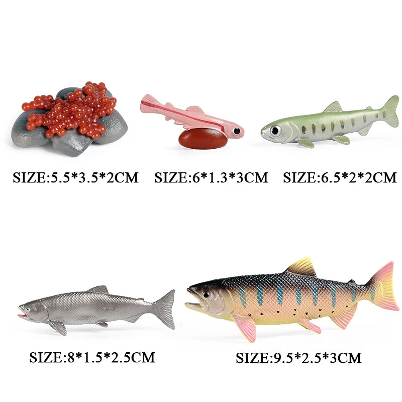 Oenux Simulation Luna Moth Salmon Butterfly Ants Life Growth Cycle Animals Model Action Figures Educational Miniature Kids Toy