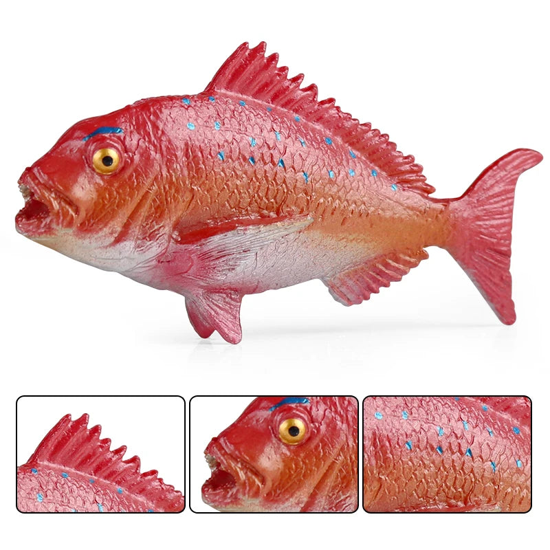 Oenux Sea Life Animals Coral Octopus Nautiloidea Crab Starfish Ocean Model Action Figures Educational Collection Toy Kid Gift