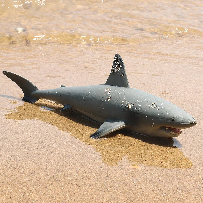 Oenux Ocean Animals Action Figures Sealife Shark Whare Megalodon Model Figurines PVC Home Decoration Kid Cognitive Education Toy