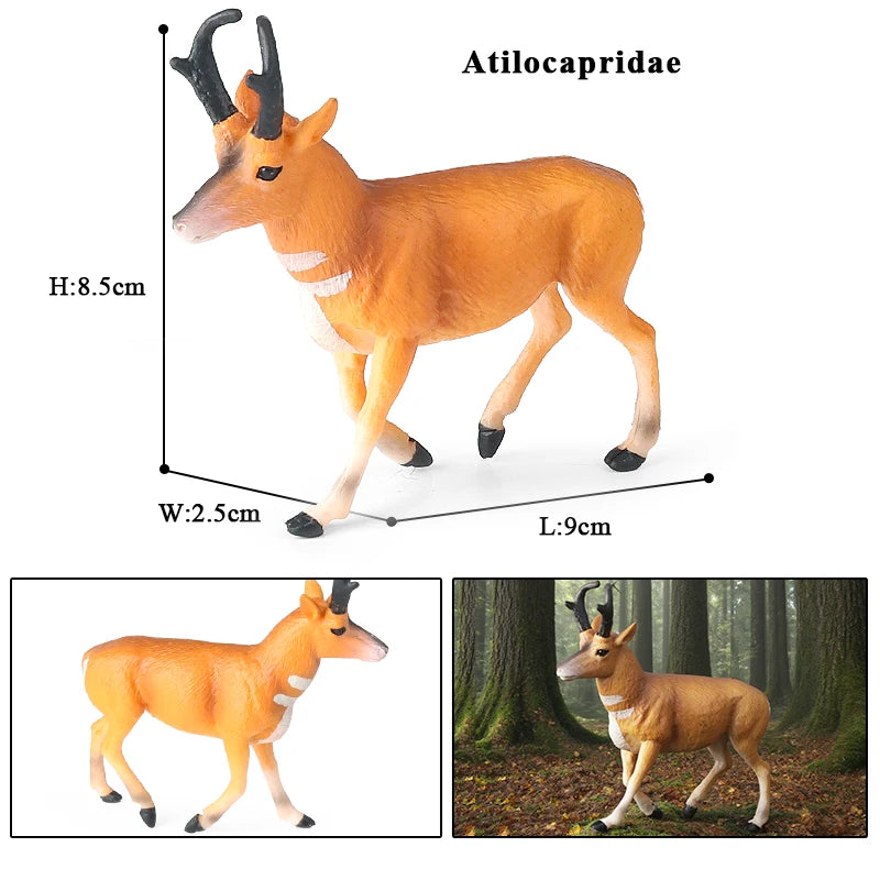 Oenux Classic Farm Animal Simulation Sheep Goat Argali Antelope Model Action Figure Poultry Figurines Cute Toy For Kid Gift