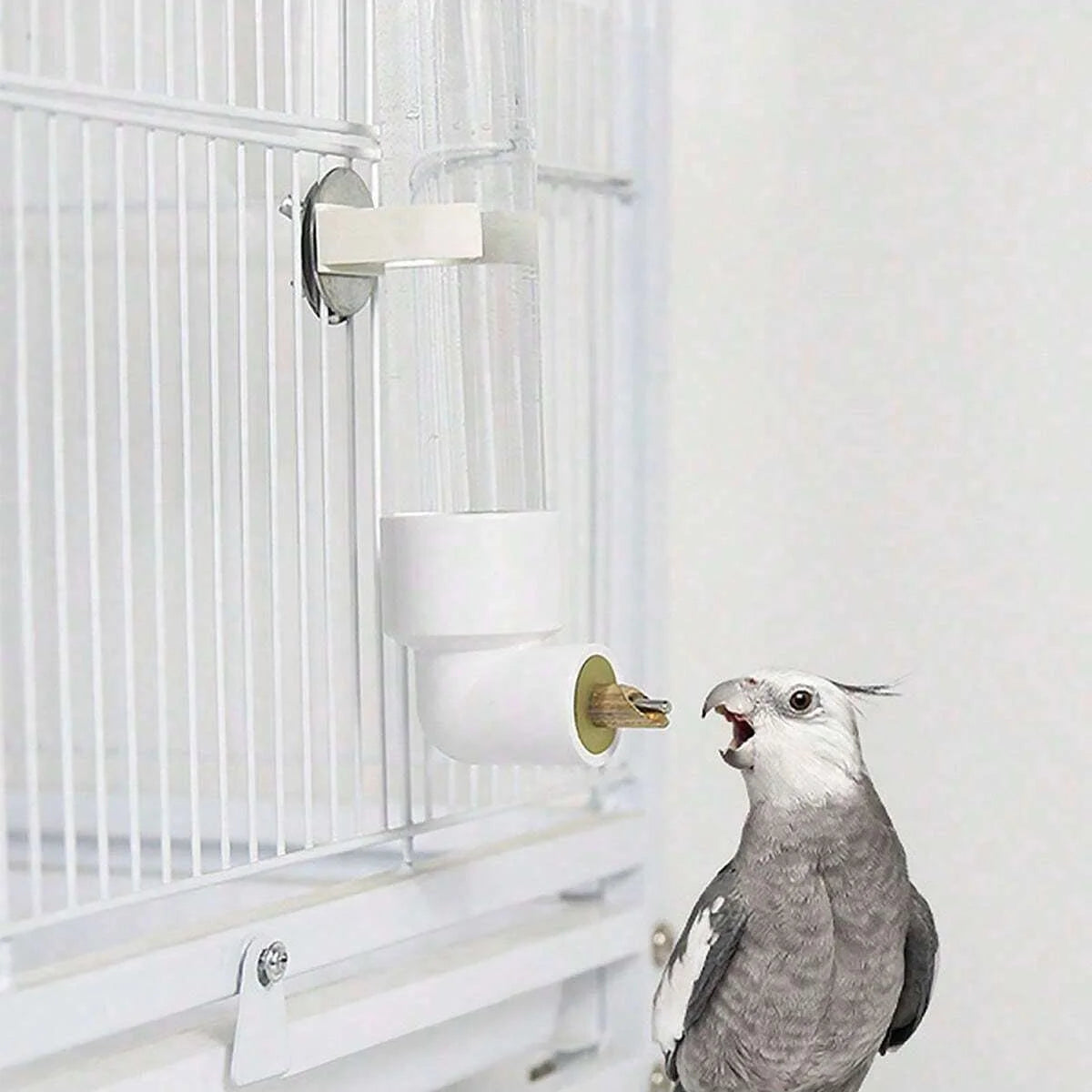 1pc-Bird automatic water dispenser, water bottle with needle, equipment for providing water to birds