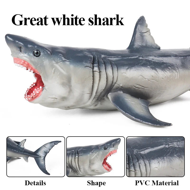 Oenux Ocean Animals Action Figures Sealife Shark Whare Megalodon Model Figurines PVC Home Decoration Kid Cognitive Education Toy