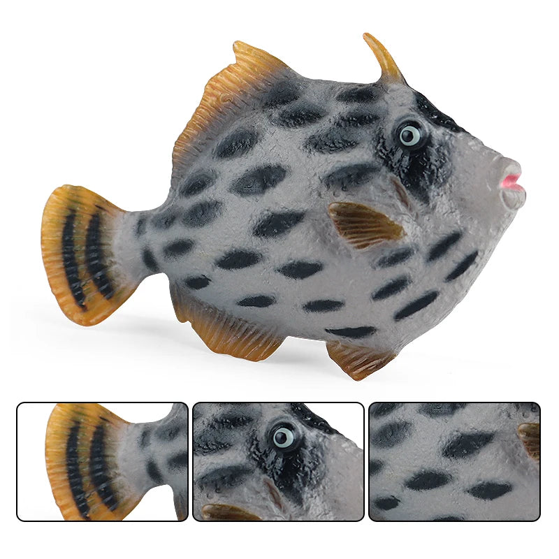 Oenux Sea Life Animals Coral Octopus Nautiloidea Crab Starfish Ocean Model Action Figures Educational Collection Toy Kid Gift