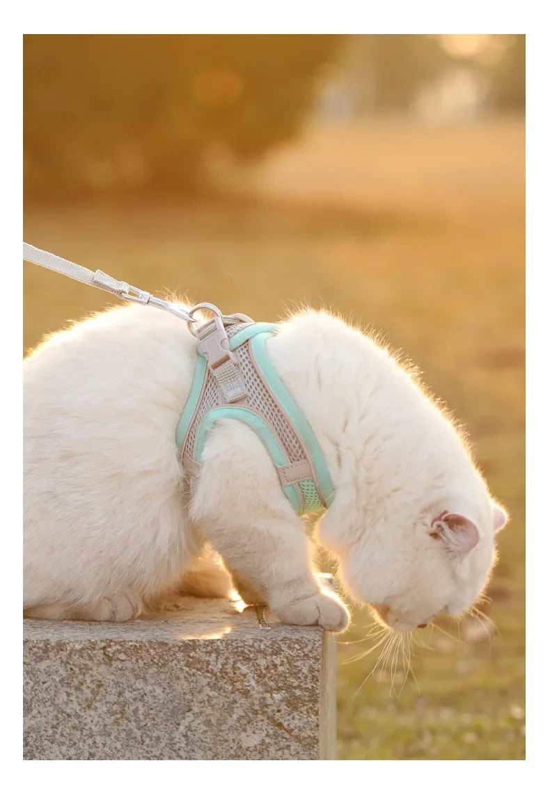 Cats Dog Accessories Small Dog Collar Safety Vest Pet Chest Rope Dogs Cover Breathable Adjustable Harnesses Supplies Products