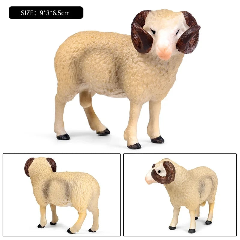 Oenux Classic Farm Animal Simulation Sheep Goat Argali Antelope Model Action Figure Poultry Figurines Cute Toy For Kid Gift