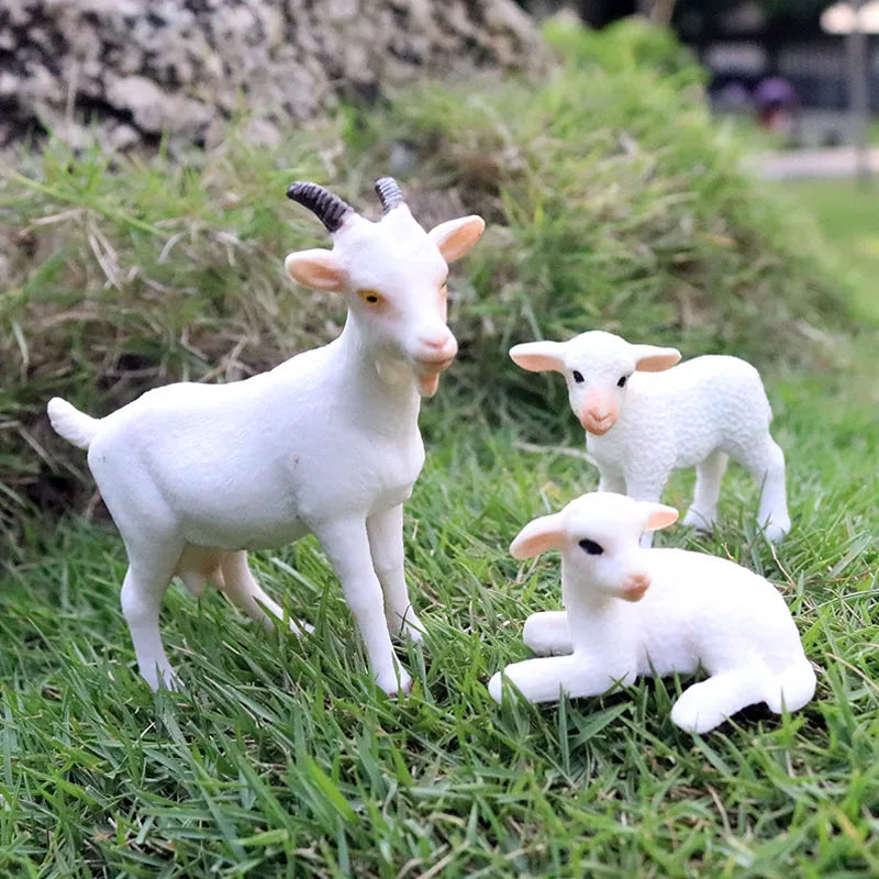 Oenux Classic Farm Animal Simulation Sheep Goat Argali Antelope Model Action Figure Poultry Figurines Cute Toy For Kid Gift