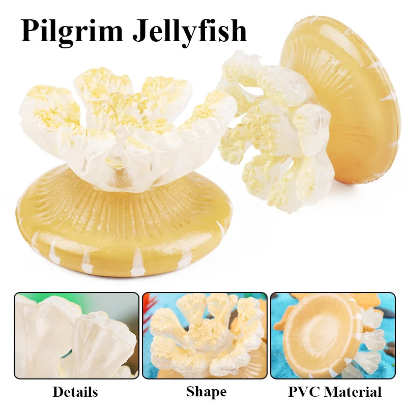 Oenux Sea Life Animals Coral Octopus Nautiloidea Crab Starfish Ocean Model Action Figures Educational Collection Toy Kid Gift