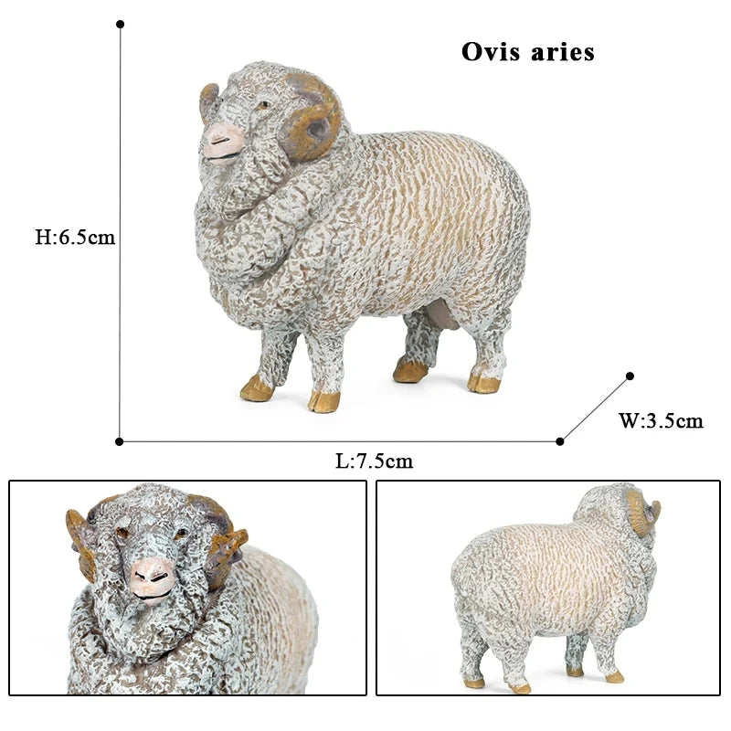Oenux Classic Farm Animal Simulation Sheep Goat Argali Antelope Model Action Figure Poultry Figurines Cute Toy For Kid Gift