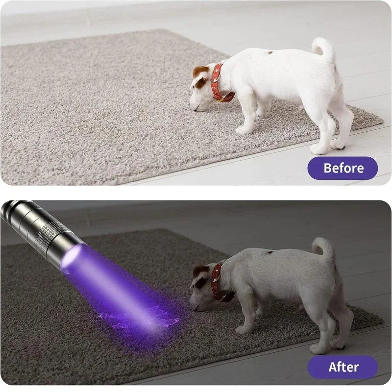 UV Flashlight 395nm Ultraviolet Torch With Pen Clip Portable AAA Batteries Used Violet Light Pet Urine Scorpion Detector UV Lamp