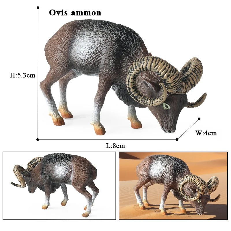Oenux Classic Farm Animal Simulation Sheep Goat Argali Antelope Model Action Figure Poultry Figurines Cute Toy For Kid Gift