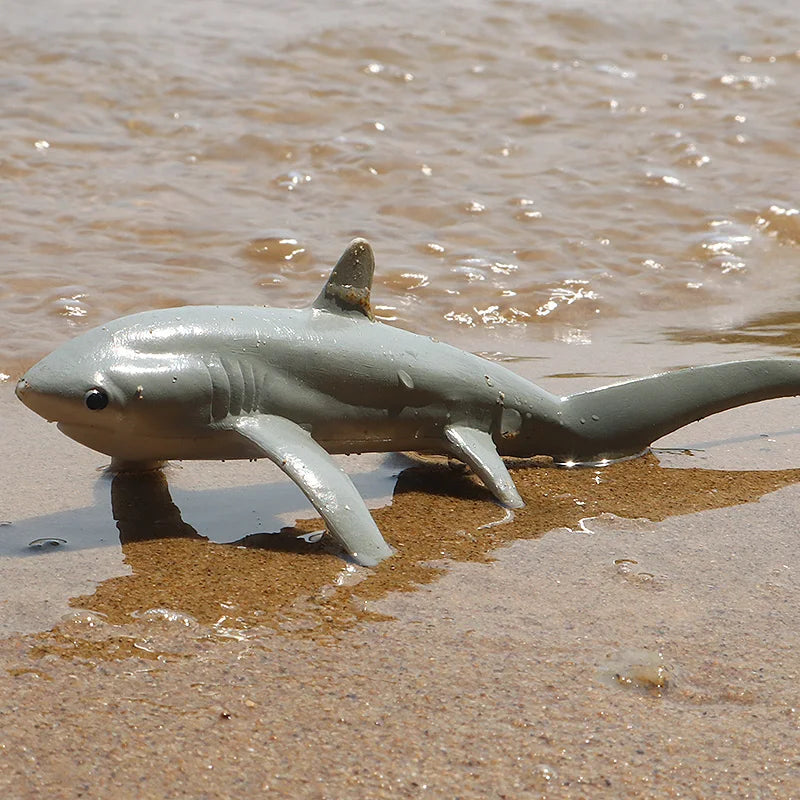 Oenux Ocean Animals Action Figures Sealife Shark Whare Megalodon Model Figurines PVC Home Decoration Kid Cognitive Education Toy