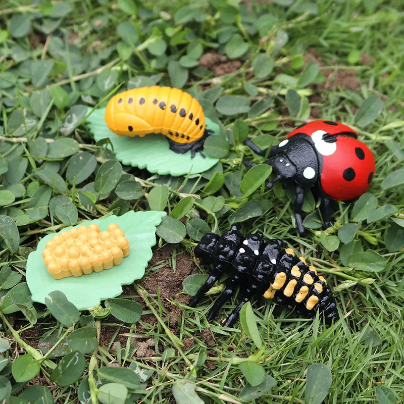 Oenux Simulation Luna Moth Salmon Butterfly Ants Life Growth Cycle Animals Model Action Figures Educational Miniature Kids Toy
