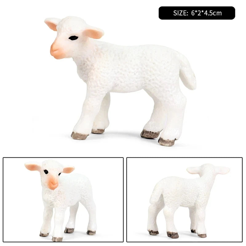 Oenux Classic Farm Animal Simulation Sheep Goat Argali Antelope Model Action Figure Poultry Figurines Cute Toy For Kid Gift