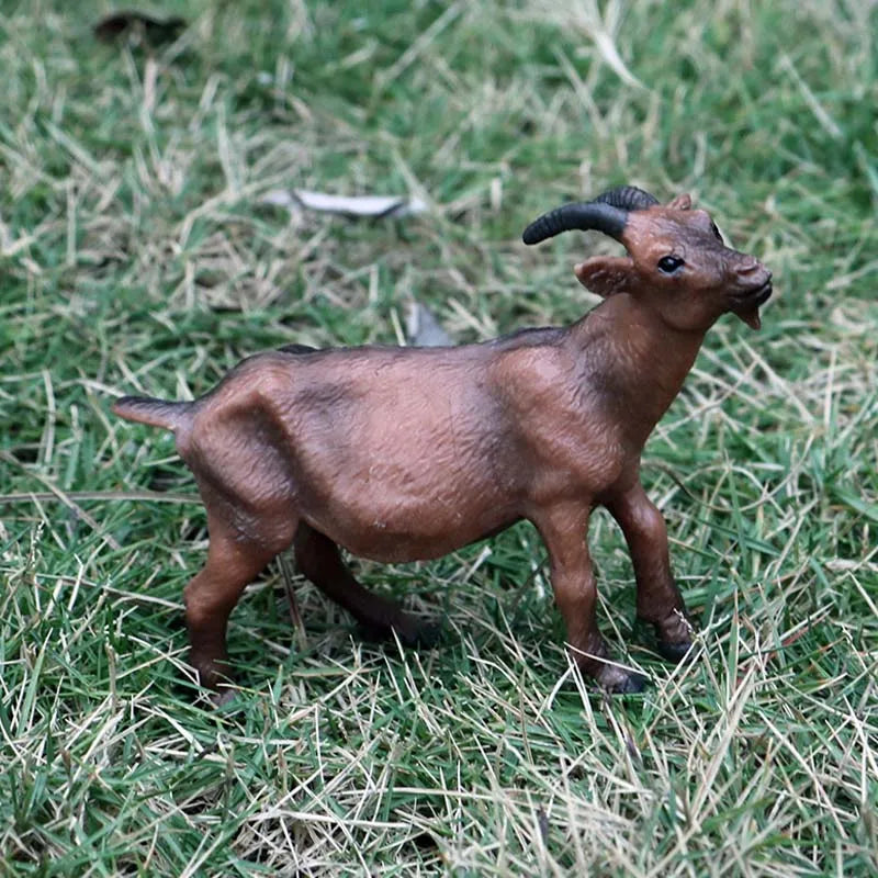 Oenux Classic Farm Animal Simulation Sheep Goat Argali Antelope Model Action Figure Poultry Figurines Cute Toy For Kid Gift