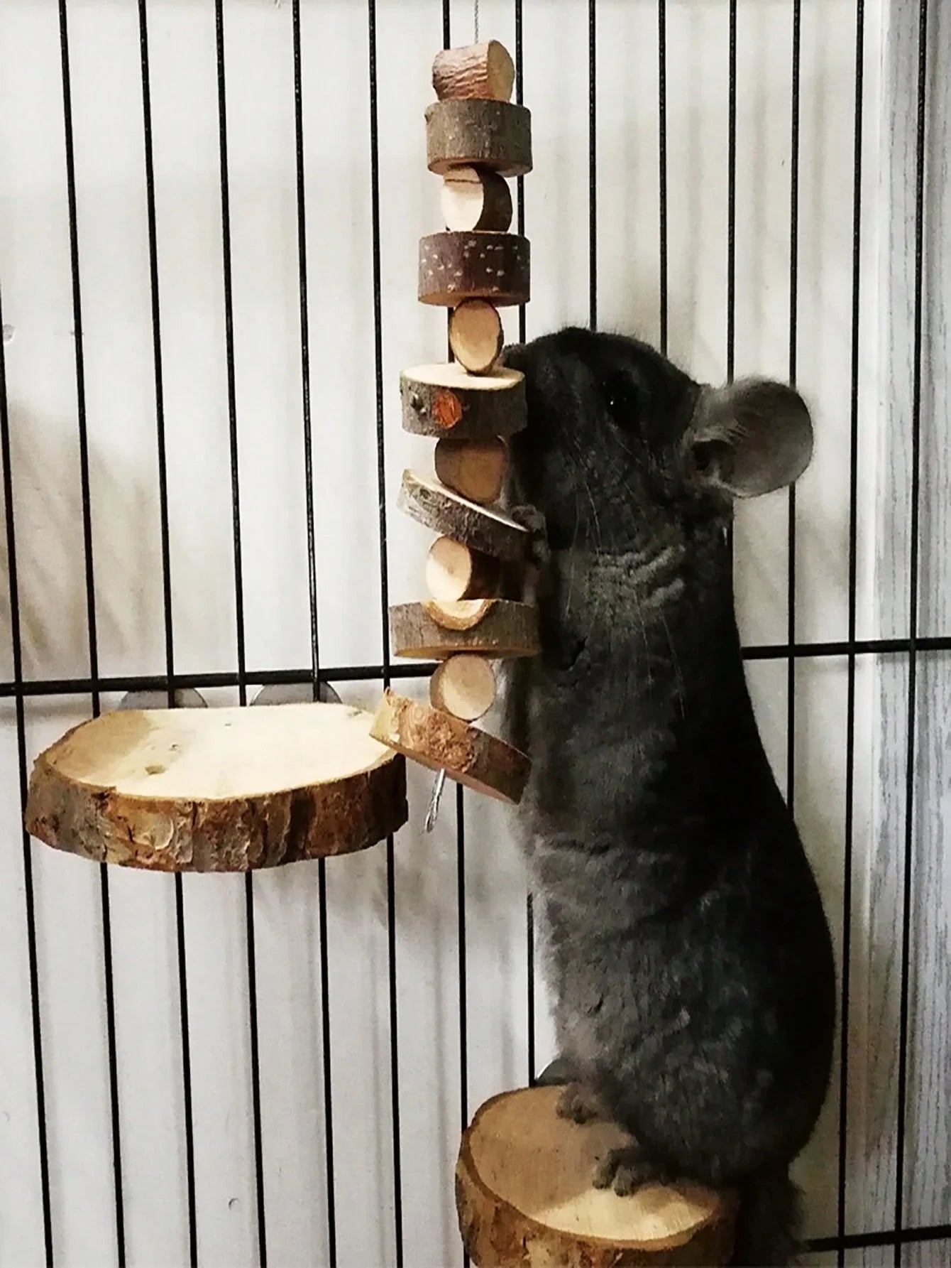 1pc-Simple wooden apple wood chew toy rabbit, chew stick, round wood teeth grinding rope, small pet toy