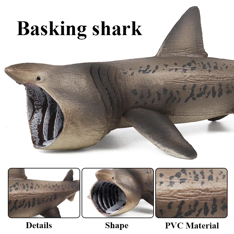 Oenux Ocean Animals Action Figures Sealife Shark Whare Megalodon Model Figurines PVC Home Decoration Kid Cognitive Education Toy