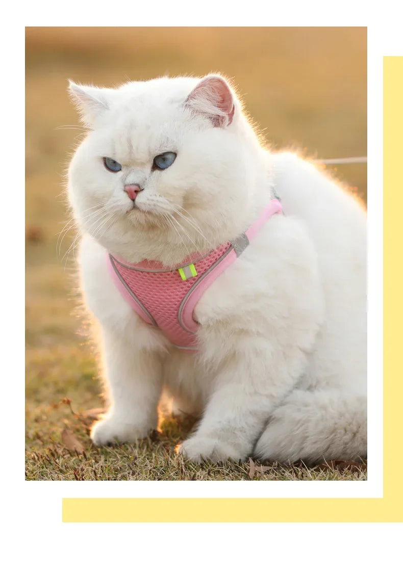 Cats Dog Accessories Small Dog Collar Safety Vest Pet Chest Rope Dogs Cover Breathable Adjustable Harnesses Supplies Products
