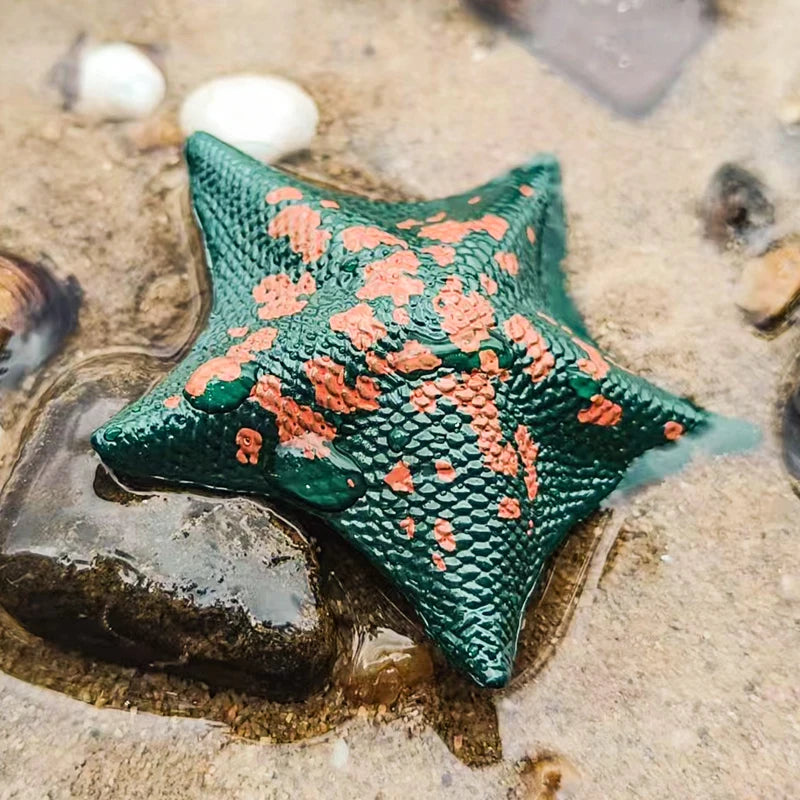Oenux Sea Life Animals Coral Octopus Nautiloidea Crab Starfish Ocean Model Action Figures Educational Collection Toy Kid Gift