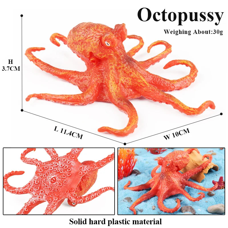 Oenux Sea Life Animals Coral Octopus Nautiloidea Crab Starfish Ocean Model Action Figures Educational Collection Toy Kid Gift