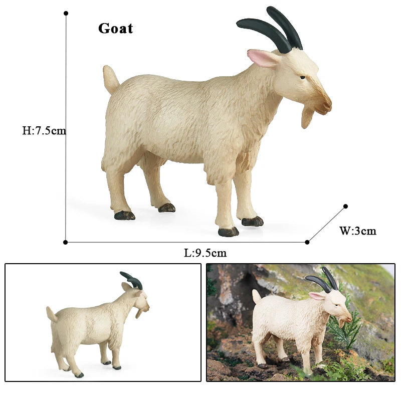 Oenux Classic Farm Animal Simulation Sheep Goat Argali Antelope Model Action Figure Poultry Figurines Cute Toy For Kid Gift