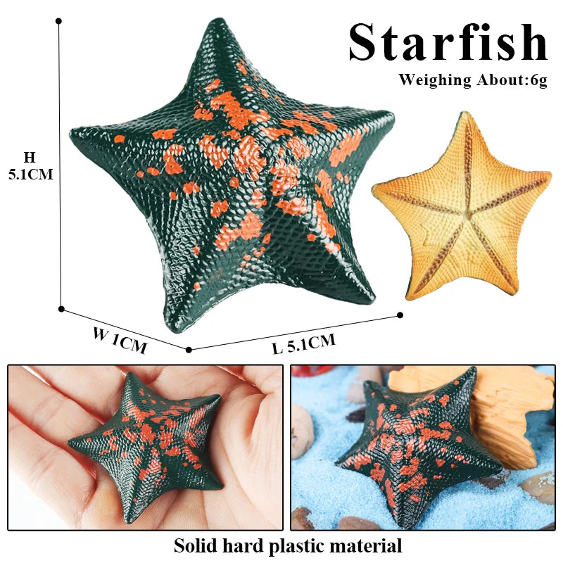 Oenux Sea Life Animals Coral Octopus Nautiloidea Crab Starfish Ocean Model Action Figures Educational Collection Toy Kid Gift