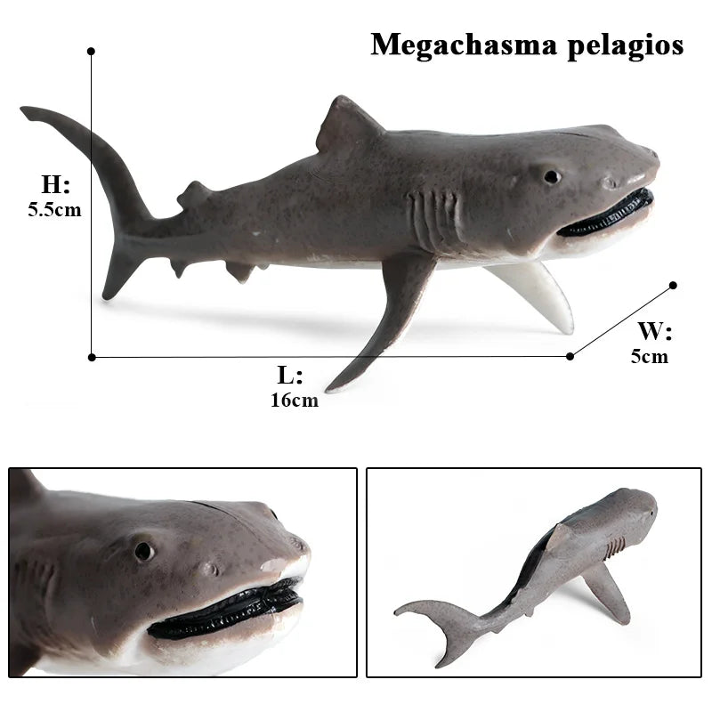 Oenux Ocean Animals Action Figures Sealife Shark Whare Megalodon Model Figurines PVC Home Decoration Kid Cognitive Education Toy