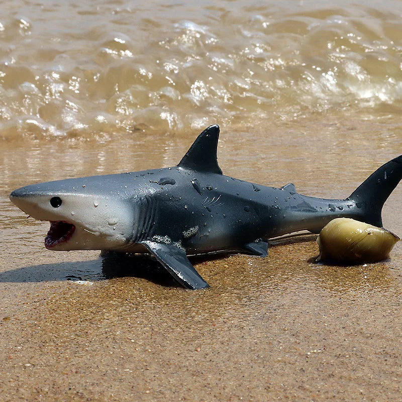 Oenux Ocean Animals Action Figures Sealife Shark Whare Megalodon Model Figurines PVC Home Decoration Kid Cognitive Education Toy