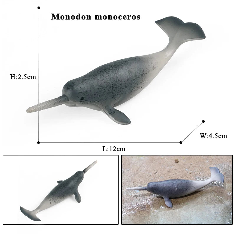 Oenux Ocean Animals Action Figures Sealife Shark Whare Megalodon Model Figurines PVC Home Decoration Kid Cognitive Education Toy